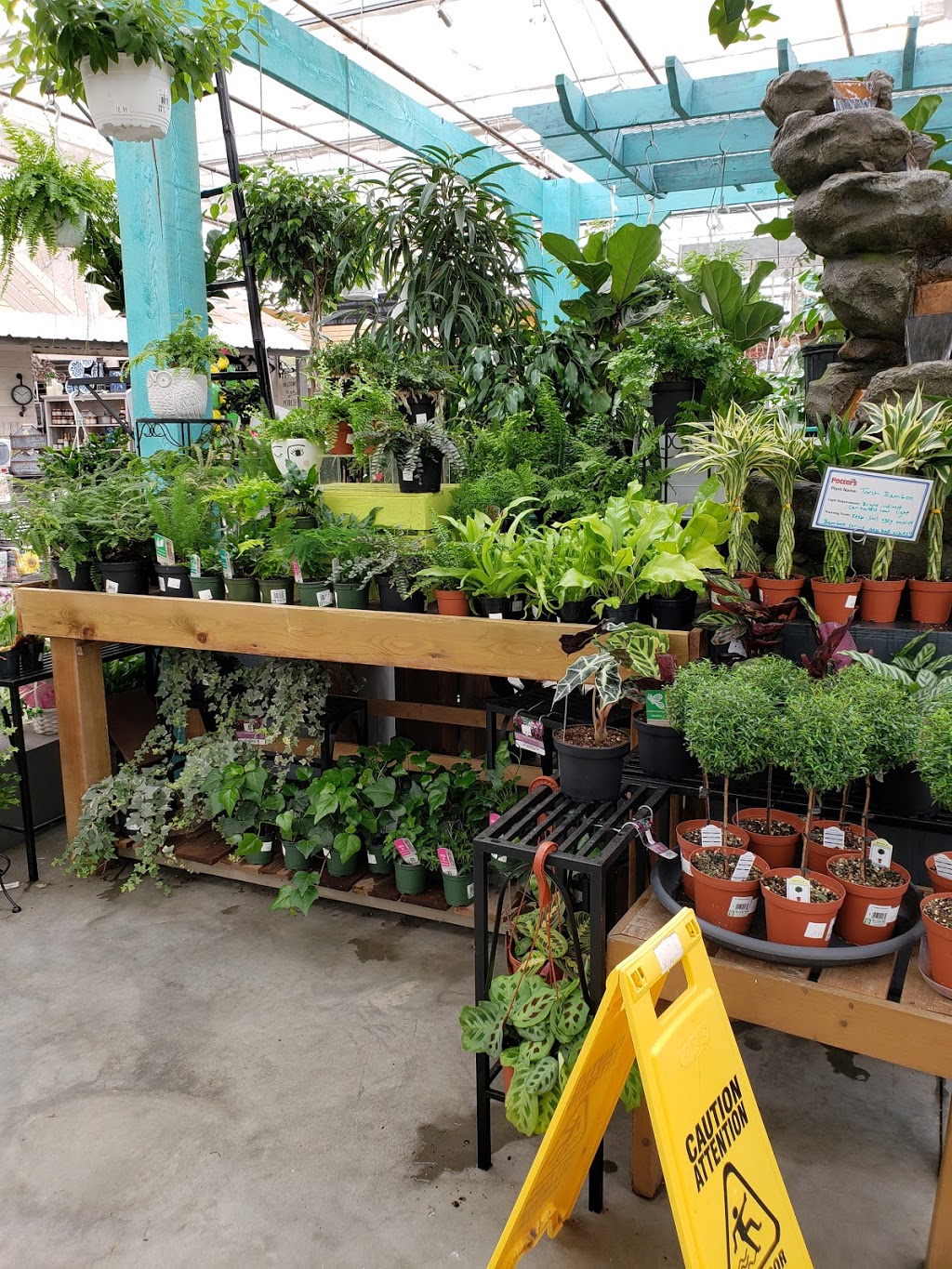 Potters Nursery | 19158 48 Ave, Surrey, BC V3Z 1B2, Canada | Phone: (604) 576-5011