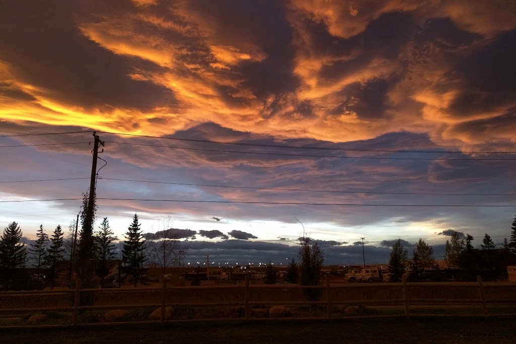 Shepard Community Hall | 10800 84 St SE, Calgary, AB T3S 0A5, Canada | Phone: (403) 290-0144