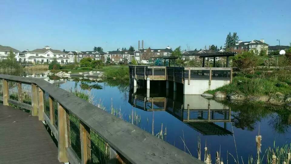Sunstone Park | 10400 Delsom Crescent, Delta, BC V4C 2L2, Canada | Phone: (604) 952-3000