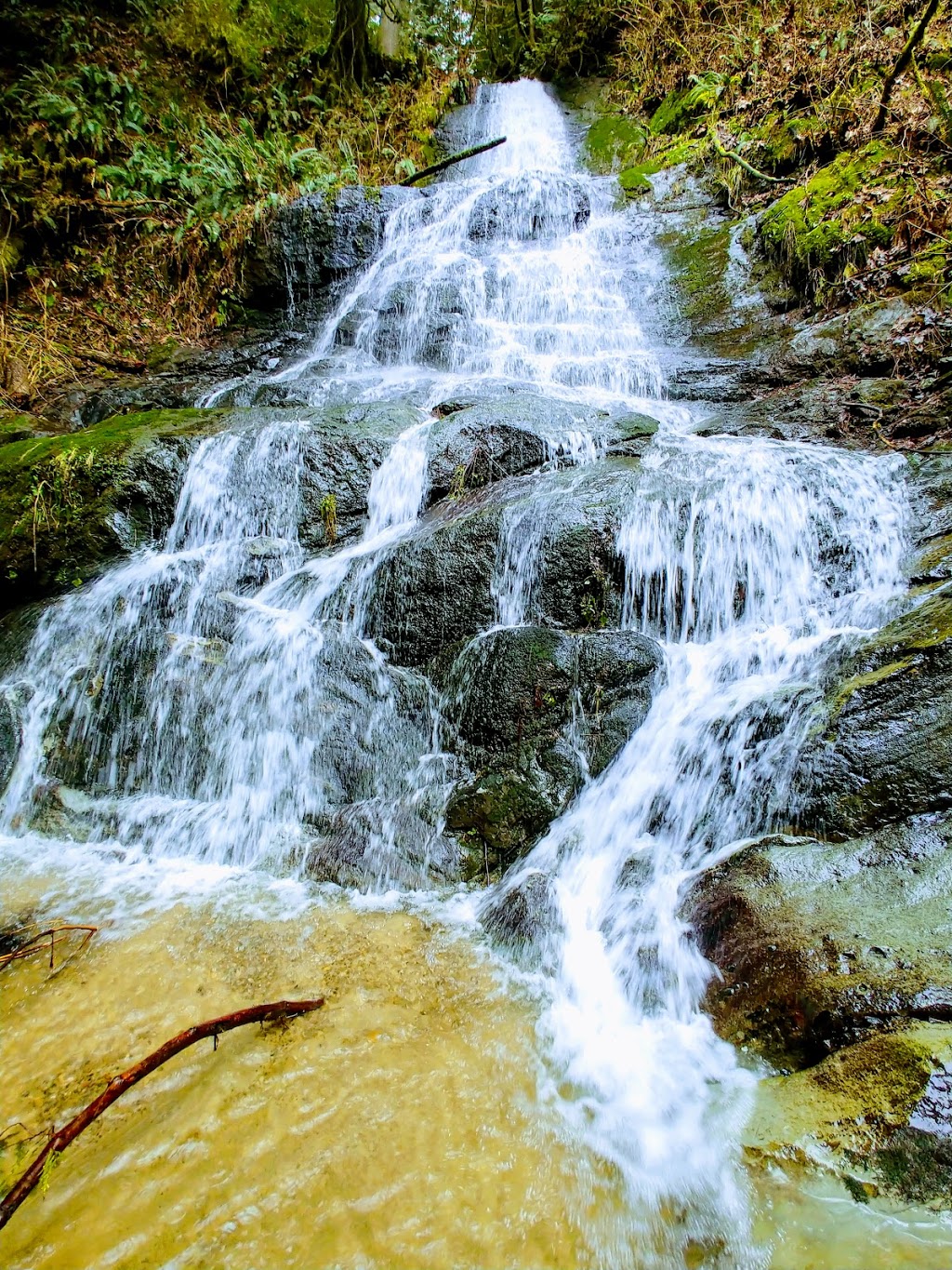 Lookout Mountain Preserve | Bellingham, WA 98229, USA