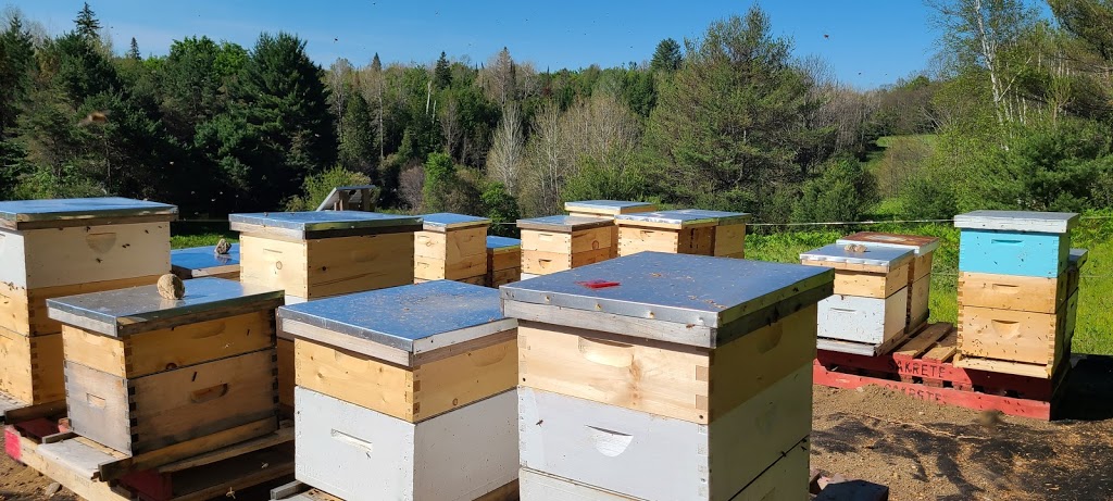 Iron Horse Honey | 79 Kathleen Crescent, Stittsville, ON K2S 1L8, Canada | Phone: (613) 413-3661