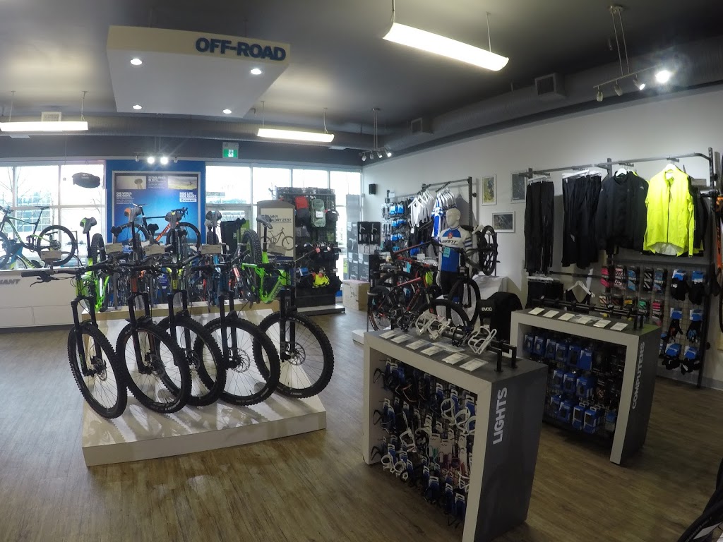 Giant Langley | 20353 64 Ave, Langley City, BC V2Y 1N5, Canada | Phone: (604) 534-3993