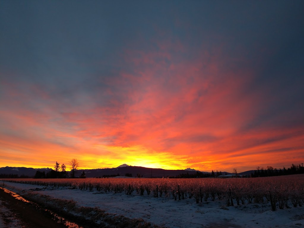 Pioneer Park Cooperative Housing Association | 27111 0 Ave, Aldergrove, BC V4W 2S9, Canada | Phone: (604) 856-6100