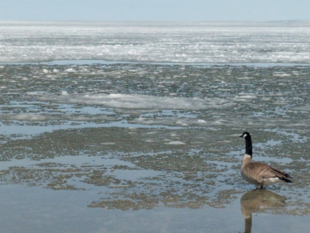 Patricia Beach Provincial Park | Beaconia, MB R0E 0B0, Canada