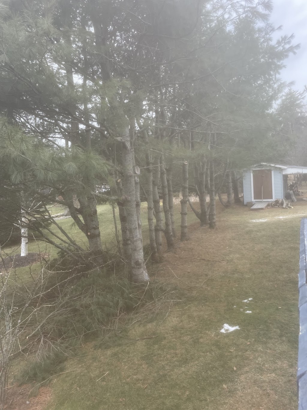 Rescyou Tree Service | 147 Walker Rd, Sackville, NB E4L 3K6, Canada | Phone: (519) 280-1937