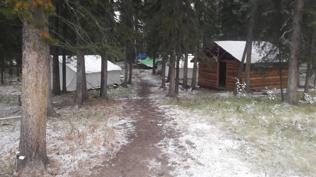Painted Warriors Ranch | 31341 RR 5.1, AB T0M 0R0, Canada | Phone: (403) 637-9138