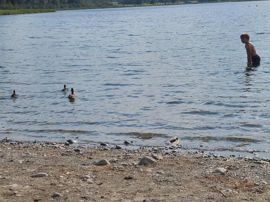 Jimsmith Lake Provincial Park | Hwy 3/95, Cranbrook, BC V1C, Canada | Phone: (250) 422-3003
