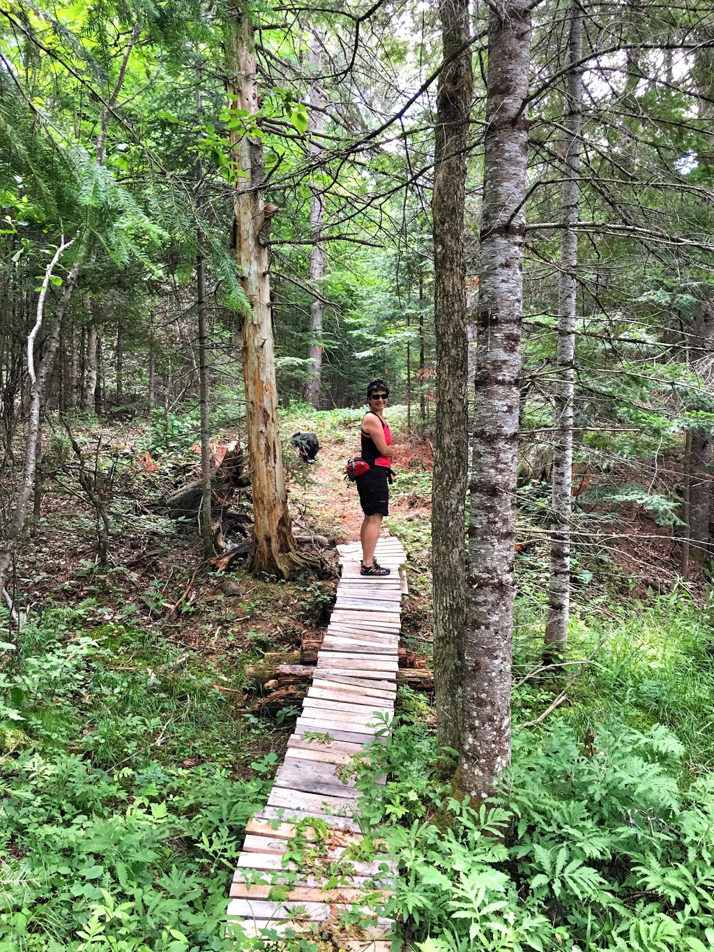 Echo Valley Nature & Bike Trails | Echo Hills Rd, Dwight, ON P0A 1H0, Canada | Phone: (877) 566-0005