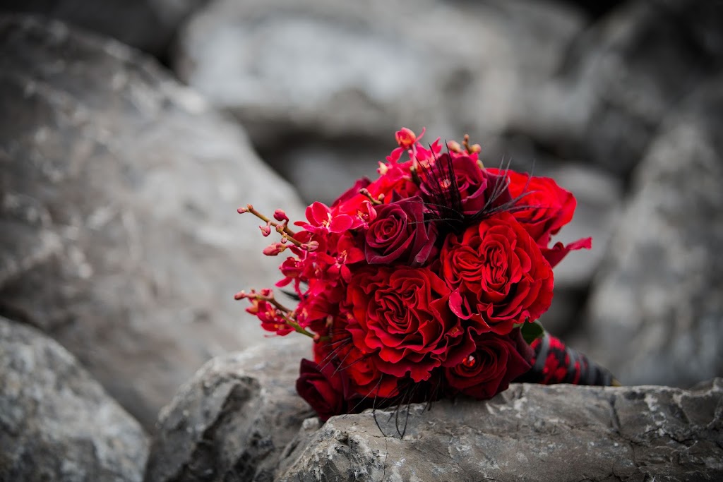 NINA Weddings & Events | 66 Copperpond Heath SE, Calgary, AB T2Z 1J3, Canada | Phone: (403) 869-9119