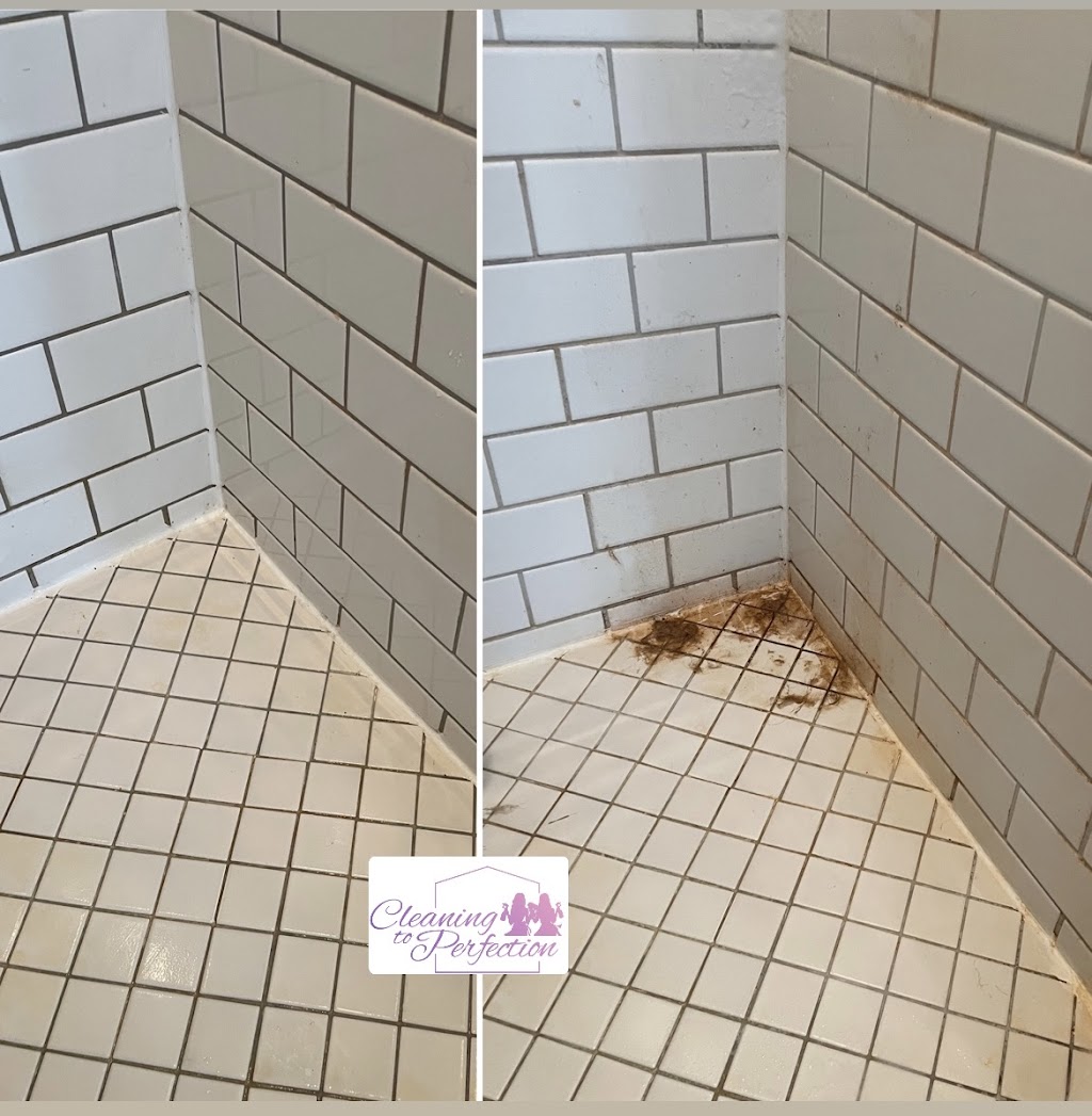 Cleaning to Perfection | 447 Renforth Dr, Etobicoke, ON M9C 2M9, Canada | Phone: (647) 568-6738
