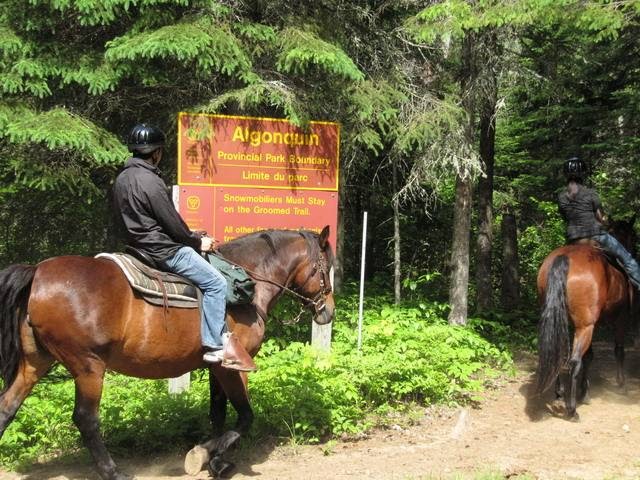 South Algonquin Trails | 4378 Elephant Lake Rd, Harcourt, ON K0L 1X0, Canada | Phone: (705) 448-1751