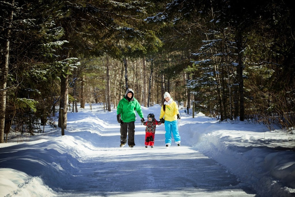 Muskoka Tourism | 1342 Ontario 11 N, Kilworthy, ON P0E 1G0, Canada | Phone: (705) 689-0660