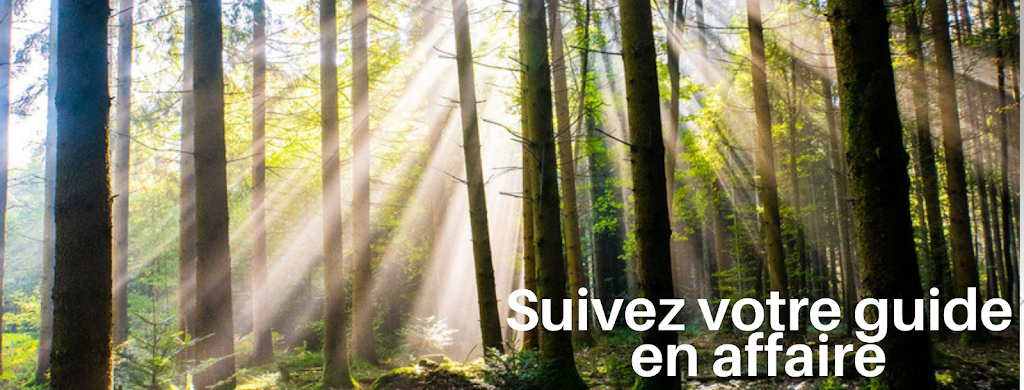 Gestion Lecavalier-Ruiz inc | 455 Chem. du Lac Bob, Saint-Calixte, QC J0K 1Z0, Canada | Phone: (450) 303-0550