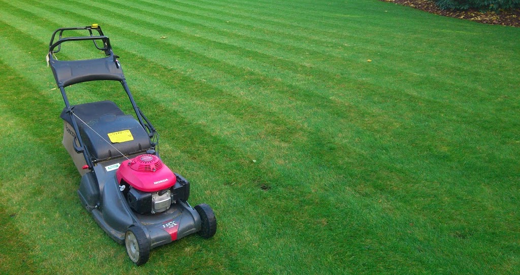Pauls Grass | 2 Noble Dr, Bradford, ON L3Z 0C5, Canada | Phone: (647) 831-7245