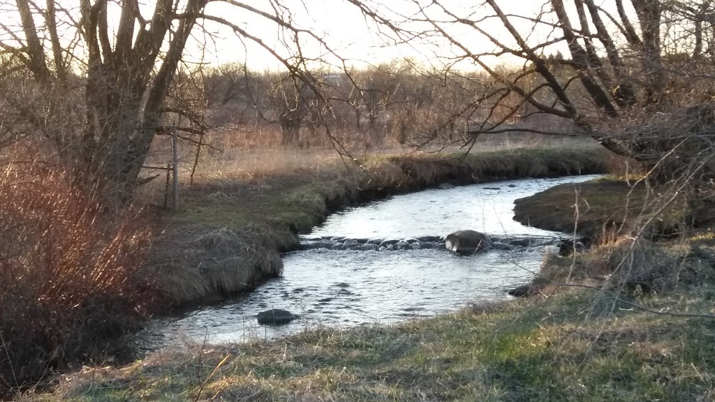 University of Waterloo Environmental Reserve | Trans Canada Trail, Waterloo, ON N2L 0A1, Canada | Phone: (519) 888-4567