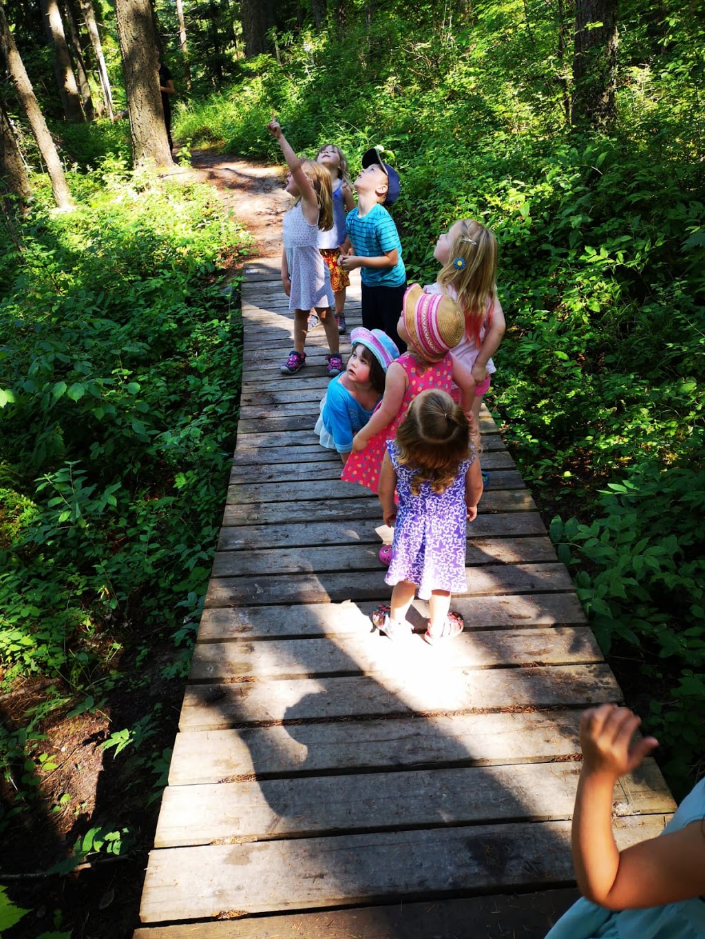 Blind Bay Munchkins Childcare Ltd. | 2570 Forest Dr, Blind Bay, BC V0E 1H2, Canada | Phone: (250) 803-2996