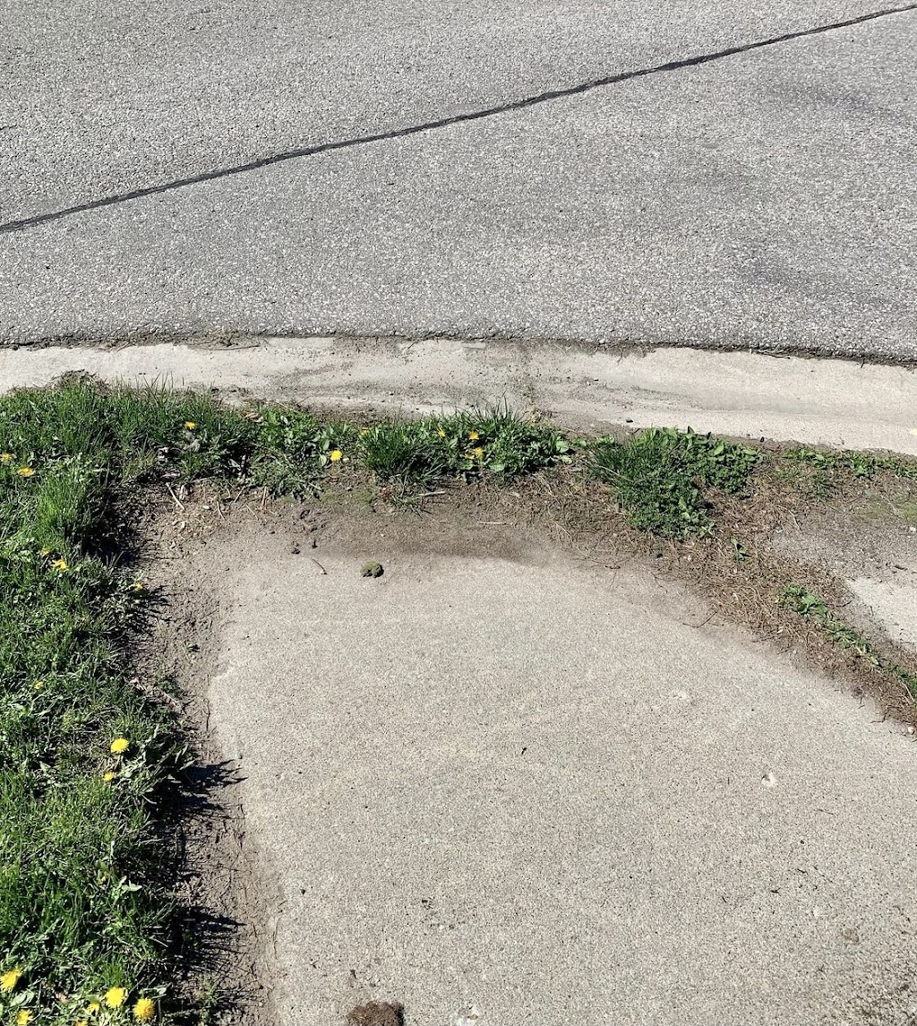 Pioneer Lawn Maintenance | Netherwood Cres, Kitchener, ON N2P 0B6, Canada | Phone: (226) 339-0008