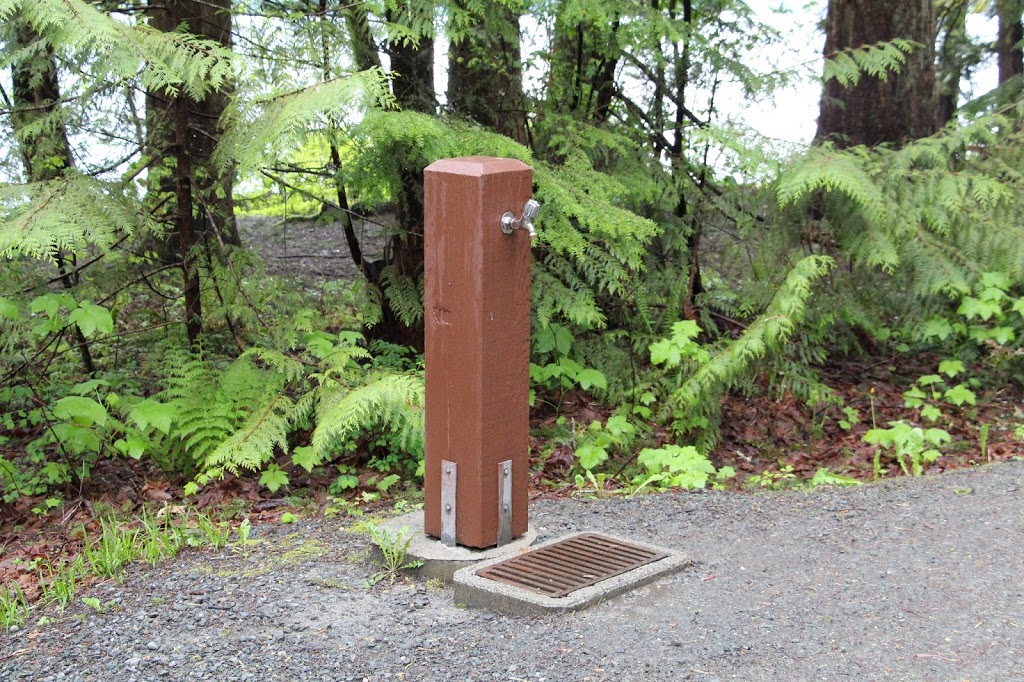 Delta Grove Campground | 2550 Columbia Valley Rd, Cultus Lake, BC V2R 5A3, Canada | Phone: (604) 986-9371