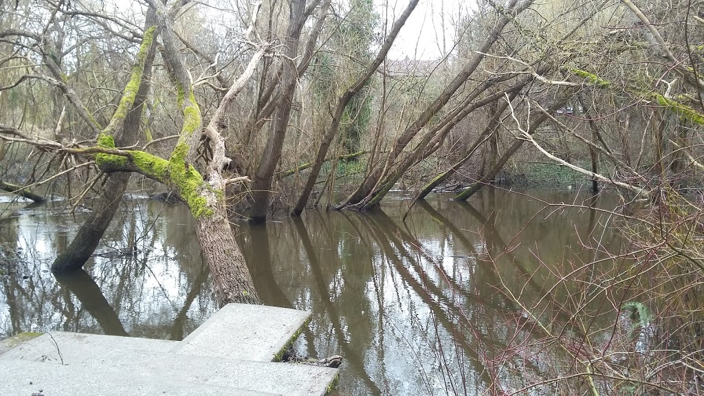 Hyacinth Park | Saanich, BC V8Z, Canada