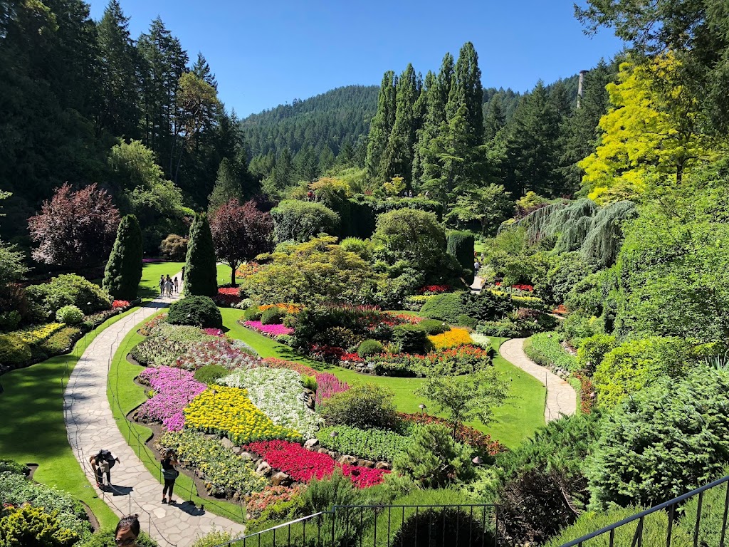 Evergreen Adventures | 862 Renfrew St, Vancouver, BC V5K 4C7, Canada | Phone: (604) 559-8405