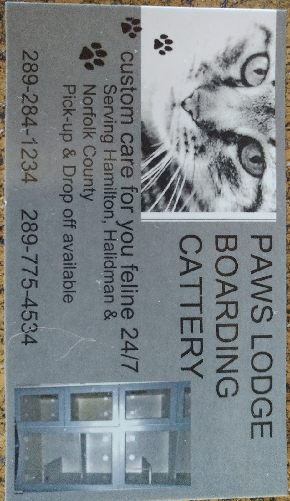 Paws Lodge Cattery | Caledonia, ON N3W, Canada | Phone: (289) 284-1245