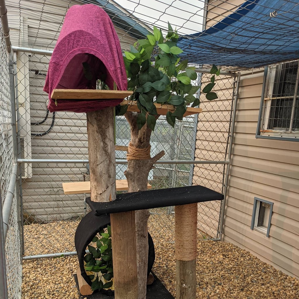Very Important Pets Boarding Kennel & Grooming Salon | R. R. # 1, Halkirk, AB T0C 1M0, Canada | Phone: (403) 740-4833