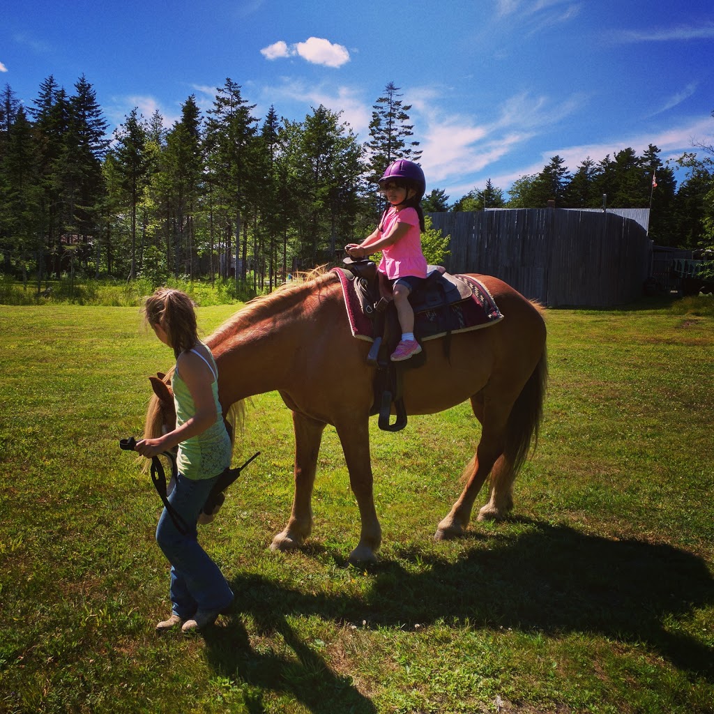 Hatfield Farm | 1840 Hammonds Plains Rd, Hammonds Plains, NS B4B 1P4, Canada | Phone: (902) 835-5676