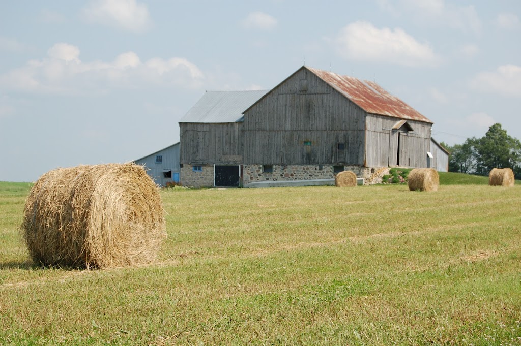 Featherstone Family Farm | 305334 S Line A, Priceville, ON N0C 1K0, Canada | Phone: (519) 924-2270