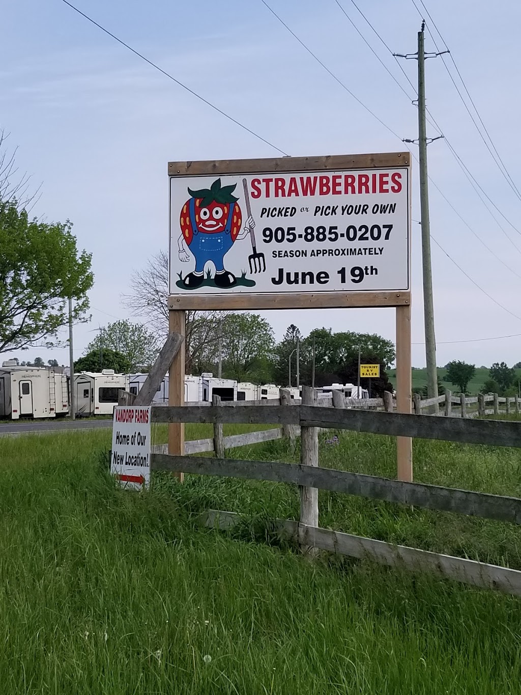 Van Dorp Strawberries | 3786 Northumberland County Rd 28, Port Hope, ON L1A 3V6, Canada | Phone: (905) 373-3191
