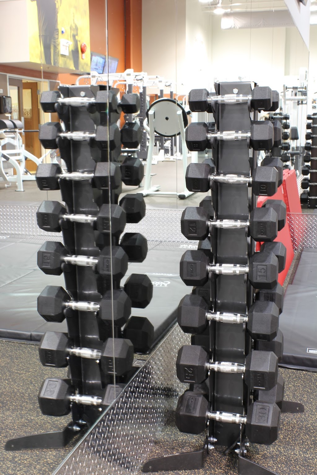 GoodLife Fitness Cochrane Neighbourhood | 210 Fifth Ave, Cochrane, AB T4C 1X3, Canada | Phone: (403) 851-9292