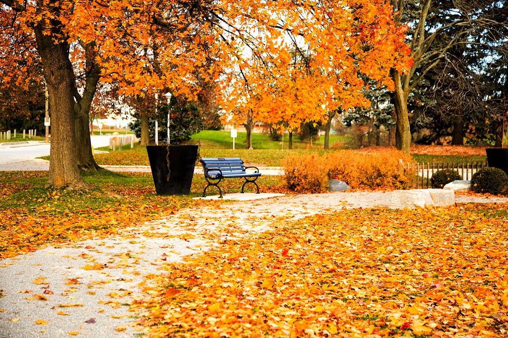 Centennial Park Conservatory - 151 Elmcrest Rd, Etobicoke, On M9c 3s2 