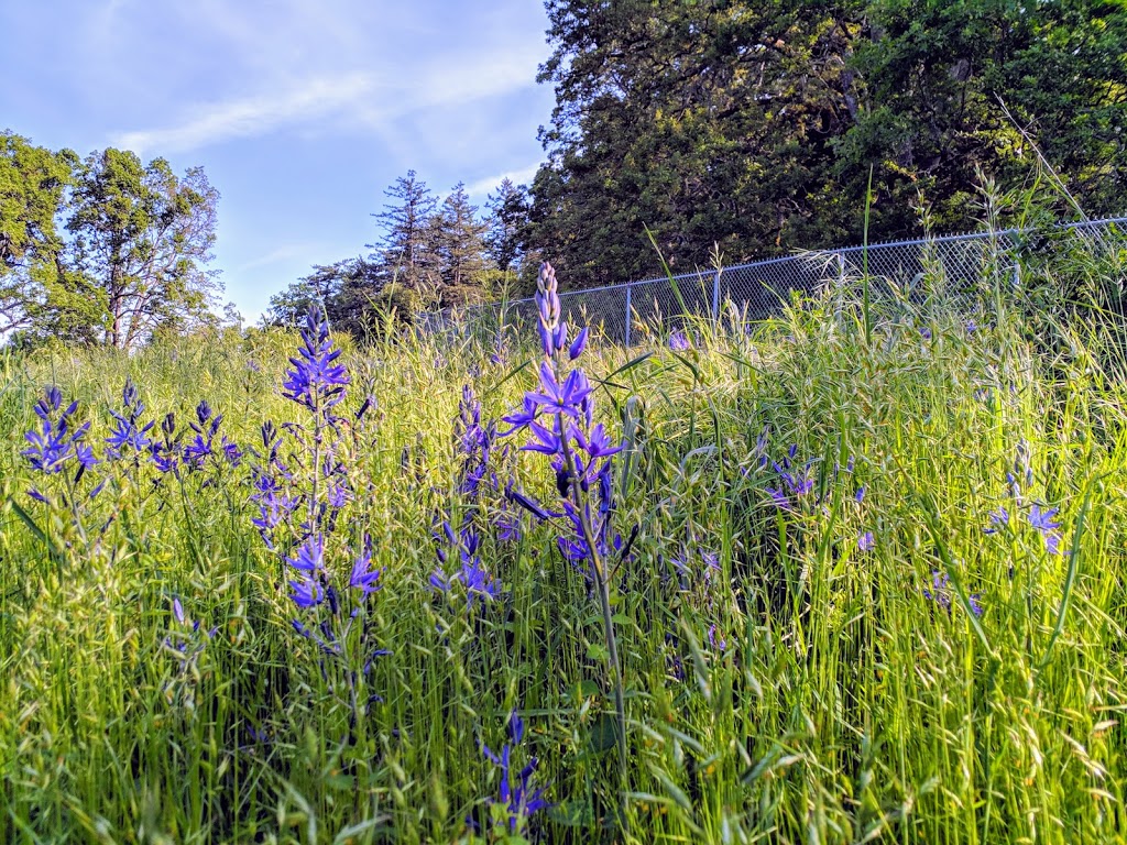 Vic Derman Park (formerly Christmas Hill Park) | 4099 Douglas St, Victoria, BC V8Z 0B9, Canada | Phone: (250) 475-5522