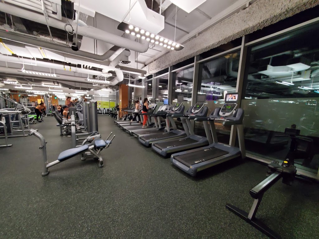 Shes Fit | gym | 50, 1055 Canada Pl #50, Vancouver, BC V6C 0C3, Canada | 6045581600 OR +1 604-558-1600
