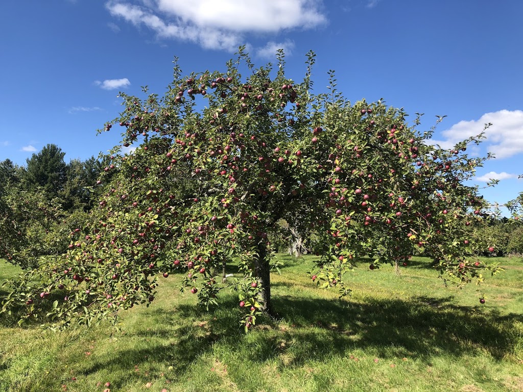 Verger Pom-Nature | 1402 Chemin Ozias-Leduc, Mont-Saint-Hilaire, QC J3G 4S6, Canada | Phone: (514) 821-6935