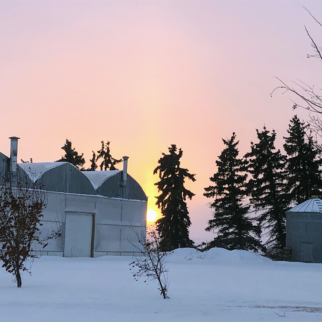 Maple Park Farm | 18311, Township Rd 502, Tofield, AB T0B 4J0, Canada | Phone: (780) 662-3820