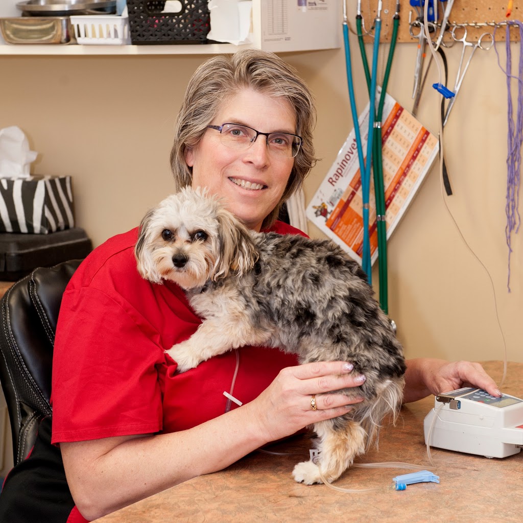 Bridlewood Veterinary Clinic | 26-17107 james McKevitt Rd SW, Calgary, AB T2Y 3Y4, Canada | Phone: (403) 201-6427
