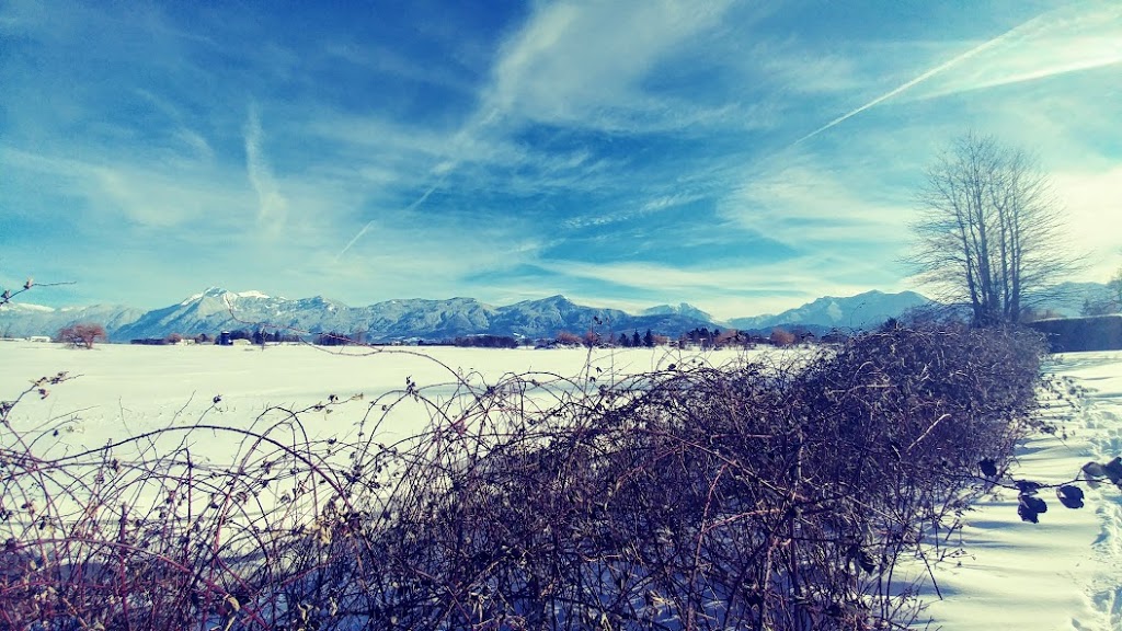 Wilson Park | Paula Crescent, Chilliwack, BC V2P 6H2, Canada