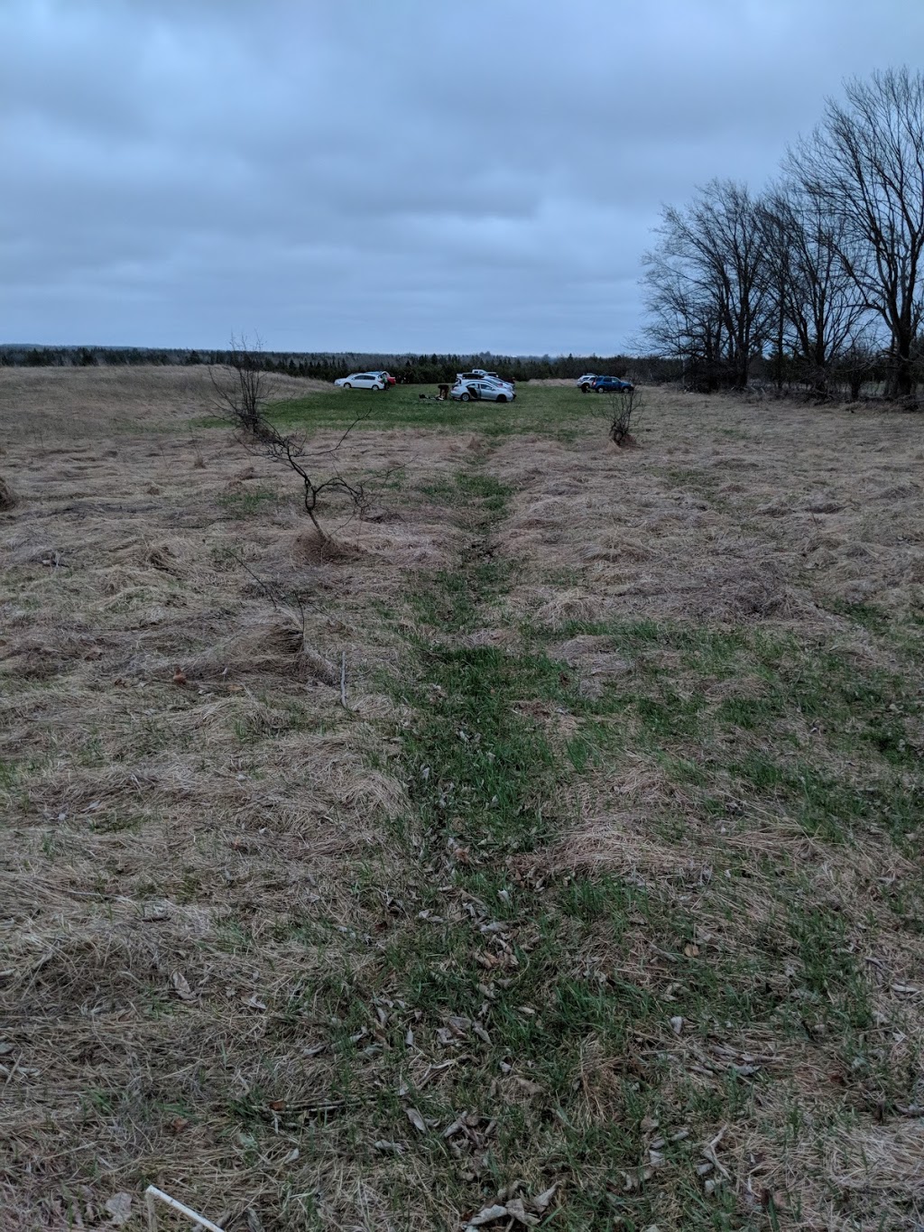 Underworld LARP | 36 Walkers Rd, Fenelon Falls, ON K0M 1N0, Canada | Phone: (416) 346-4523