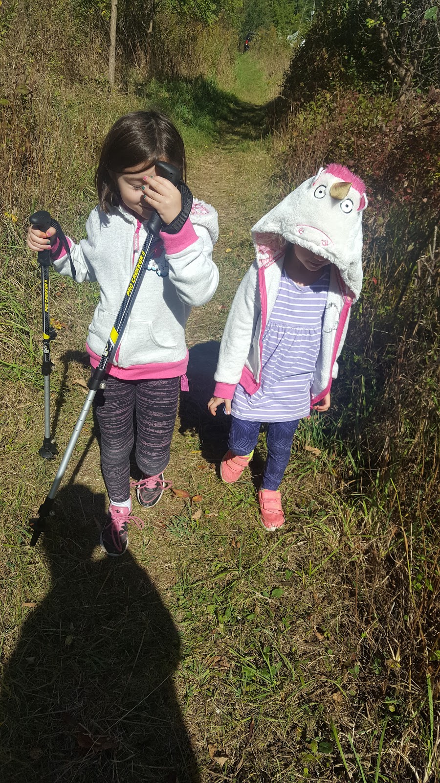Royal Botanical Gardens Berry Tract | Bruce Trail, Dundas, ON L9H 5S7, Canada | Phone: (905) 527-1158