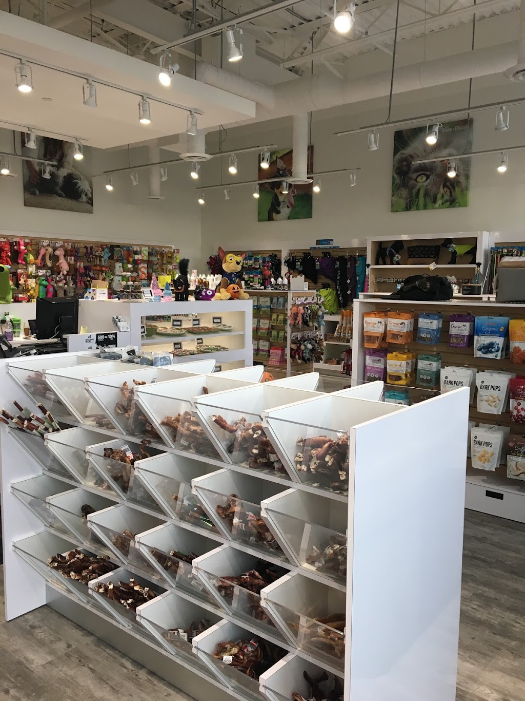 Bone & Biscuit | 14 Aquitania Blvd W #40-50, Lethbridge, AB T1J 5L4, Canada | Phone: (403) 330-1099