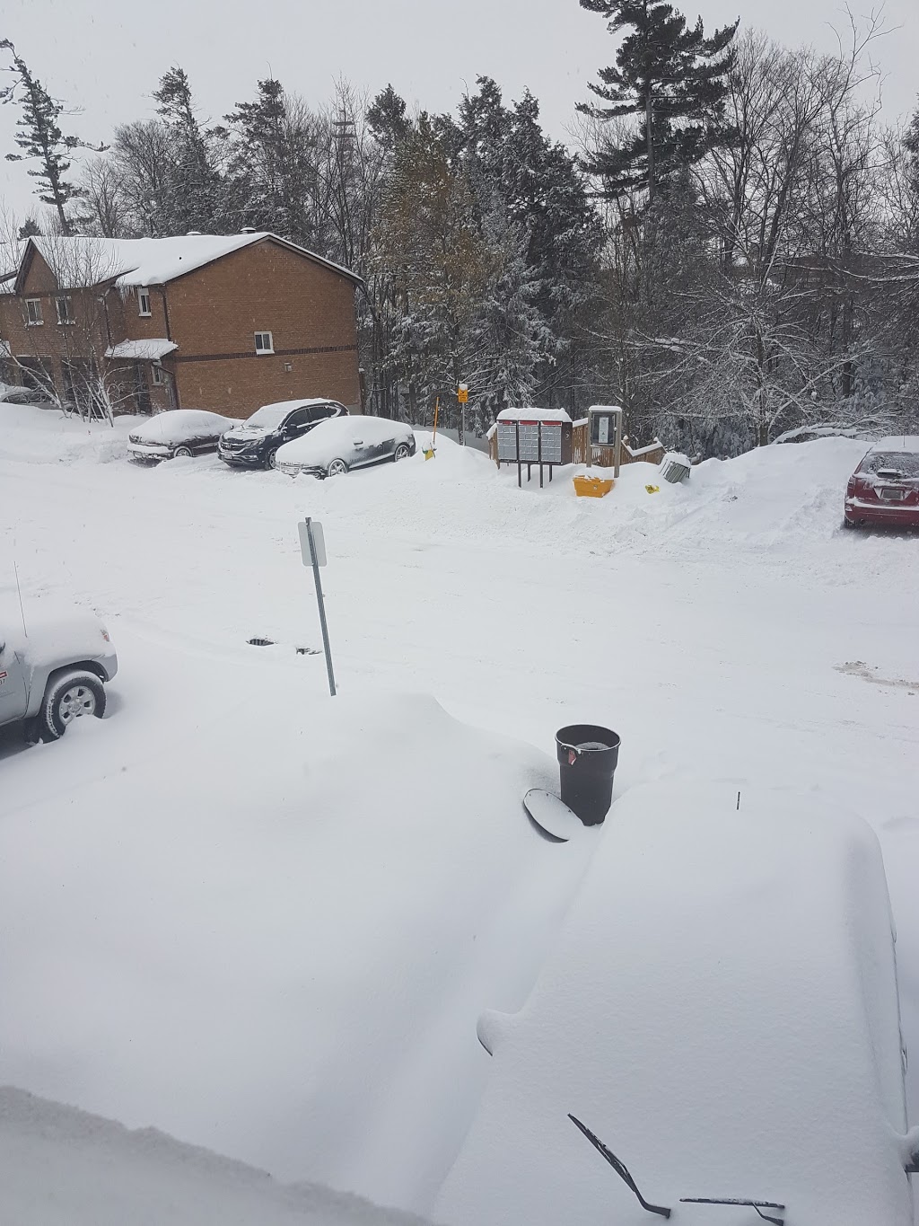 Timberwalk | 1 Sawmill Rd, Barrie, ON L4N 6X3, Canada | Phone: (705) 721-6823