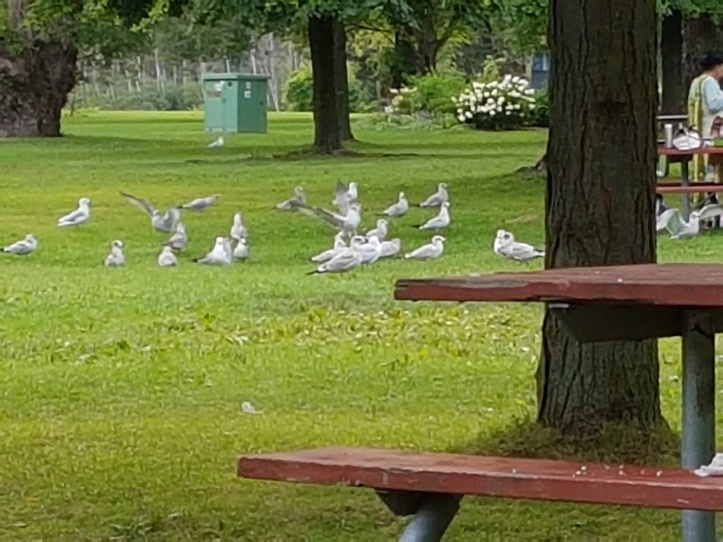 Centre Island Pier | Lake, ON, Canada | Phone: (437) 983-0326