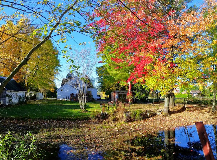 Gite du Maudit francais | 231 Rang du Haut de la Rivière, Pierreville, QC J0G 1J0, Canada | Phone: (450) 881-2023