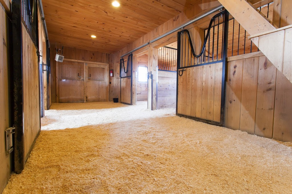 Camp Cookstown | 5268 Simcoe County Rd 56, Cookstown, ON L0L 1L0, Canada | Phone: (705) 434-4777