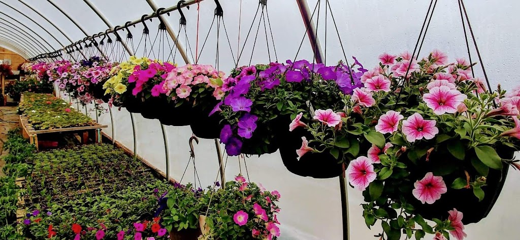 Oakbank Garden Market | 26016 Springfield Rd, Oakbank, MB R5N 0A8, Canada | Phone: (204) 444-4780