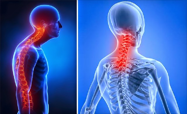 Bodylab Chiropractic and Massage | 23 Montebello Pl, St. Catharines, ON L2R 6B5, Canada | Phone: (905) 228-3130