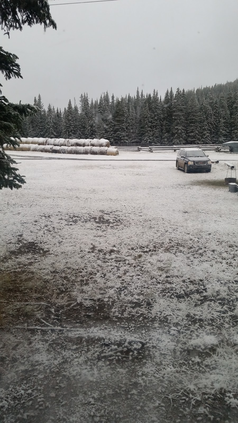 Barrier Mountain Outfitters | Sundre, AB T0M 1X0, Canada | Phone: (403) 637-3735