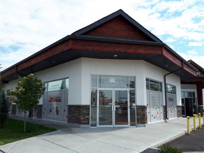 Edgemont Veterinary Clinic | 8210 Edgebrook Dr NW #105, Calgary, AB T3A 4K9, Canada | Phone: (403) 239-4657