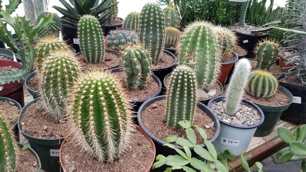 Sandhu Greenhouses | 9707 128 Ave, Osoyoos, BC V0H 1V2, Canada | Phone: (250) 689-0234