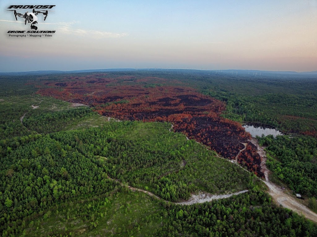 Flat Rock State Forest | 4083 Military Turnpike, Altona, NY 12910, USA